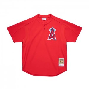Authentic Jerseys Mitchell & Ness Vladimir Guerrero Anaheim Angels 2004 BP Jersey Hombre | 3952DPRCT