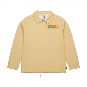 Chamarras Mitchell & Ness Coaches Green Bay Packers Hombre | 3768LICZQ