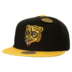Gorras Mitchell & Ness 75th Snapback Boston Bruins Unisex | 8943HUOAW