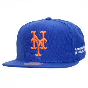 Gorras Mitchell & Ness AMNH Snapback New York Mets Unisex | 1405OZLID
