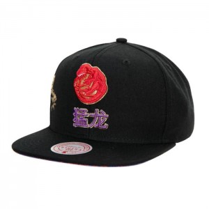 Gorras Mitchell & Ness Agua Tiger Snapback HWC Toronto Raptors Unisex | 7902DMXHI