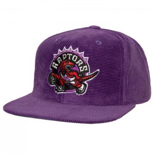 Gorras Mitchell & Ness All Directions Snapback HWC Toronto Raptors Unisex | 7826HPBLE