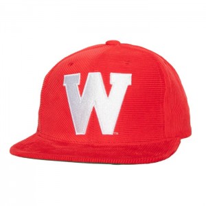 Gorras Mitchell & Ness All Directions Snapback University of Wisconsin - Madison Unisex | 2470JWSYP