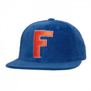 Gorras Mitchell & Ness All Directions Snapback University of Florida Unisex | 3175DPEWH