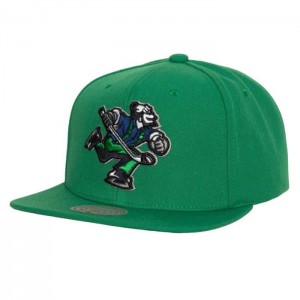 Gorras Mitchell & Ness Alternate Flip Snapback Vancouver Canucks Unisex | 2605VPKWQ