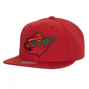 Gorras Mitchell & Ness Alternate Flip Snapback Minnesota Wild Unisex | 7013UMHJO