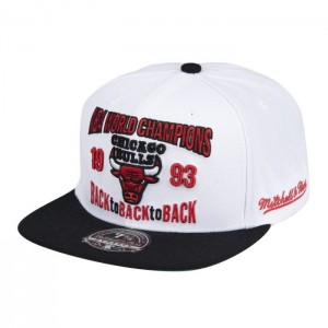 Gorras Mitchell & Ness Back To 93 Fitted Unisex | 2873JTGXM