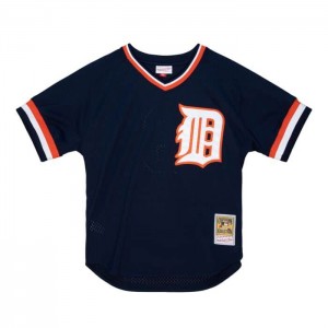 MLB Authentic Mitchell & Ness Alan Trammell Detroit Tigers 1984 Pullover Jersey Hombre | 9465EKTQB