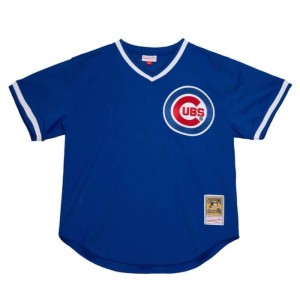 MLB Authentic Mitchell & Ness Ryne Sandberg Chicago Cubs 1984 Pullover Jersey Hombre | 6948ISVBJ