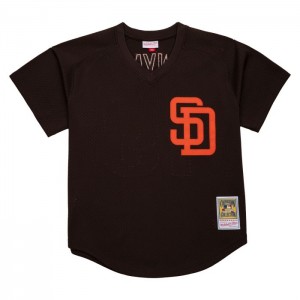 MLB Authentic Mitchell & Ness Tony Gwynn San Diego Padres 1985 Pullover Jersey Hombre | 9415HQCSK