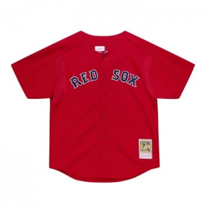Mesh BP Jerseys Mitchell & Ness David Ortiz Boston Red Sox 2004 BP Jersey Hombre | 8523WNYCV