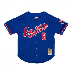 Mesh BP Jerseys Mitchell & Ness Gary Carter Montreal Expos 1992 Button Front Jersey Hombre | 9538CPRJS