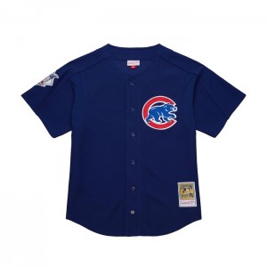 Mesh BP Jerseys Mitchell & Ness Nomar Garciaparra Chicago Cubs Dark 2005 BP Jersey Hombre | 2649AFTLB