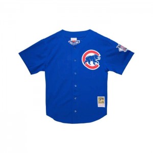 Mesh BP Jerseys Mitchell & Ness Ryne Sandberg Chicago Cubs 1997 BP Jersey Hombre | 8139WKTQF