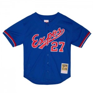 Mesh BP Jerseys Mitchell & Ness Vladimir Guerrero Montreal Expos 2002 Button Front Jersey Hombre | 7496WVUIE