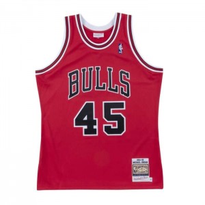 Michael Jordan Mitchell & Ness Chicago Bulls 1994-95 Hombre | 5647RMOCK