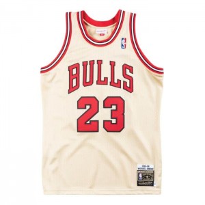 Michael Jordan Mitchell & Ness Premium Gold Chicago Bulls 1995-96 Hombre | 8691XZOWN