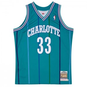NBA Authentic Mitchell & Ness Alonzo Mourning Charlotte Hornets Carretera 1992-93 Jersey Hombre | 9031OGLUP