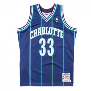 NBA Authentic Mitchell & Ness Charlotte Hornets 1994-95 Alonzo Mourning Hombre | 6358GQAVT