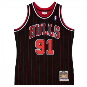 NBA Authentic Mitchell & Ness Dennis Rodman Chicago Bulls 1995-96 Jersey Hombre | 9012QUPCX