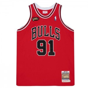 NBA Authentic Mitchell & Ness Dennis Rodman Chicago Bulls Carretera 1997-98 Jersey Hombre | 0613CGSWI