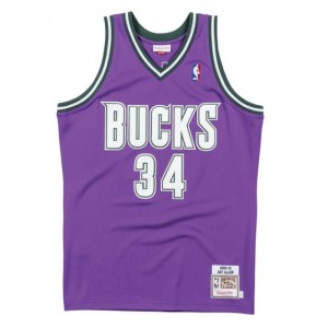 NBA Authentic Mitchell & Ness Milwaukee Bucks 2000-01 Ray Allen Hombre | 0823GRHBZ