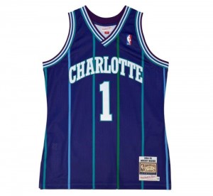 NBA Authentic Mitchell & Ness Muggsy Bogues Charlotte Hornets Alternate 1994-95 Jersey Hombre | 8735BNOGX