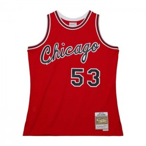 NBA Swingman Mitchell & Ness Artis Gilmore Chicago Bulls 1977-78 Jersey Hombre | 2896LTXZE