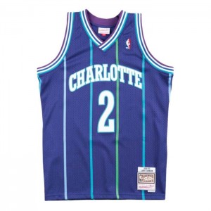 NBA Swingman Mitchell & Ness Charlotte Hornets Alternate 1994-95 Larry Johnson Hombre | 1573HOPEQ