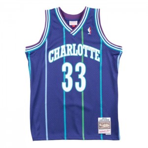 NBA Swingman Mitchell & Ness Charlotte Hornets Alternate 1994-95 Alonzo Mourning Hombre | 3418TGXWD