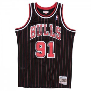 NBA Swingman Mitchell & Ness Chicago Bulls Alternate 1995-96 Dennis Rodman Hombre | 3702XGYUA
