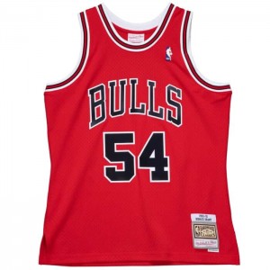 NBA Swingman Mitchell & Ness Horace Grant Chicago Bulls 1990-91 Jersey Hombre | 7623YNTFX