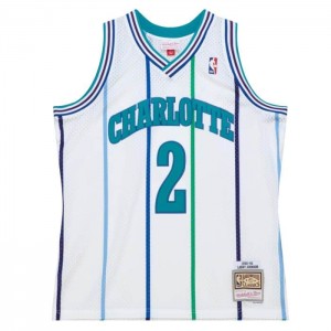 NBA Swingman Mitchell & Ness Larry Johnson Charlotte Hornets 1992-93 Jersey Hombre | 5736NKXAW
