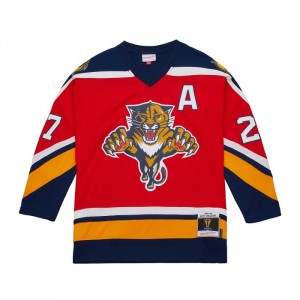 NHL Blue Line Mitchell & Ness Scott Mellanby Floridahers Dark 1995 Jersey Hombre | 2340UGFPO