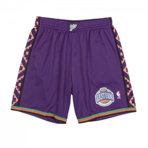 Short Mitchell & Ness All Star East 1994-95 Hombre | 3056RATWY