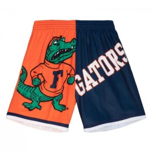 Short Mitchell & Ness Big Face Moda 5.0 University Of Florida Hombre | 2914APGRT