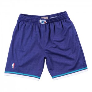 Short Mitchell & Ness Charlotte Hornets Alternate 1994-95 Hombre | 2496CXBQF