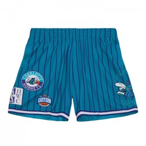 Short Mitchell & Ness City Colección Mesh Charlotte Hornets Hombre | 8495UNZQF