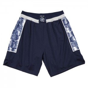 Short Mitchell & Ness Georgetown University 1995-96 Hombre | 1203VQSAG