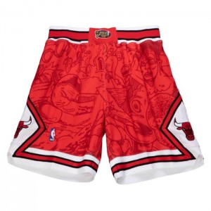 Short Mitchell & Ness Hebru Chicago Bulls Hombre | 1643BQIJR