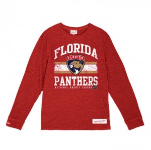 Tops Mitchell & Ness A Rayas Logo Lockup Slub LS Tee Floridahers Hombre | 7469GRYAW