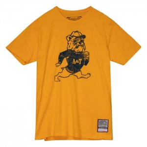 Tops Mitchell & Ness Aggie Tee North Carolina A&T University Hombre | 3154TGRKP