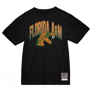 Tops Mitchell & Ness Halftime Tee Florida A&M University Mujer | 9483SFDMI