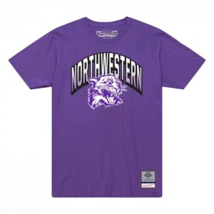 Tops Mitchell & Ness Halftime Tee Northwestern University Mujer | 8907GSWLR