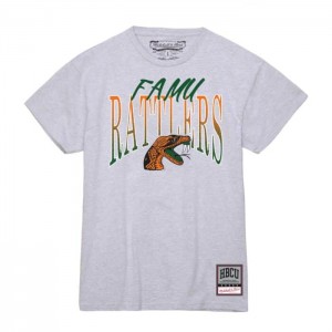 Tops Mitchell & Ness Script Arc Tee Florida A&M University Mujer | 6108FWJND